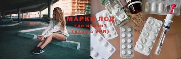 стафф Алзамай