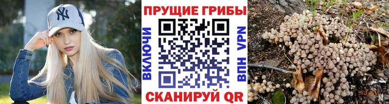 Псилоцибиновые грибы Magic Shrooms  купить закладку  Сосенский 